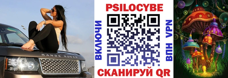 сайты даркнета Telegram  даркнет сайт  Котовск  Галлюциногенные грибы Psilocybe 
